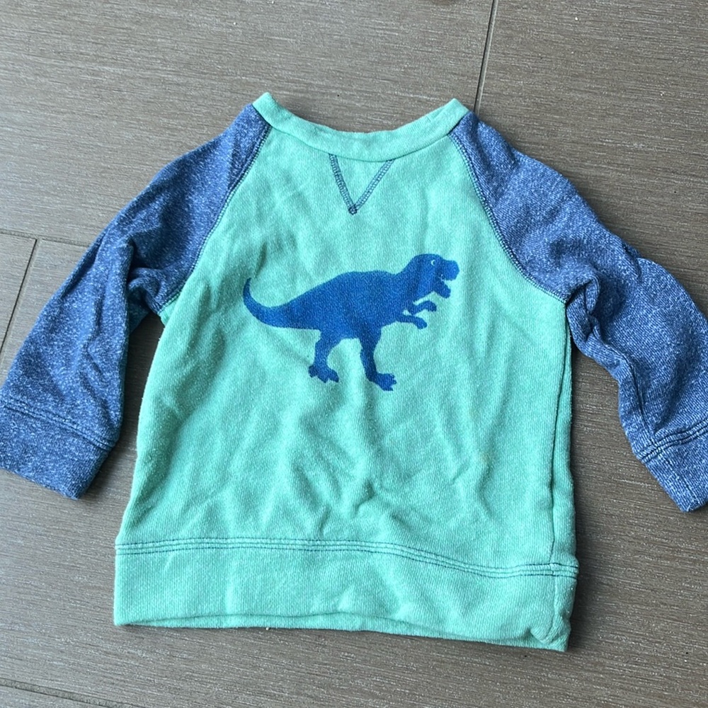 Dino sweatshirt